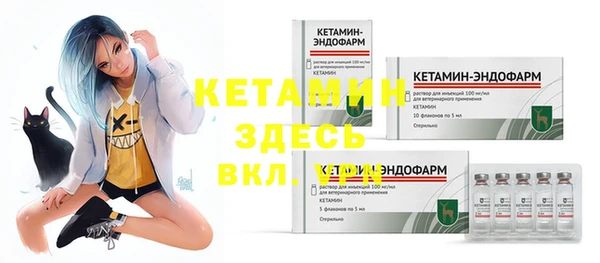 стафф Дмитриев