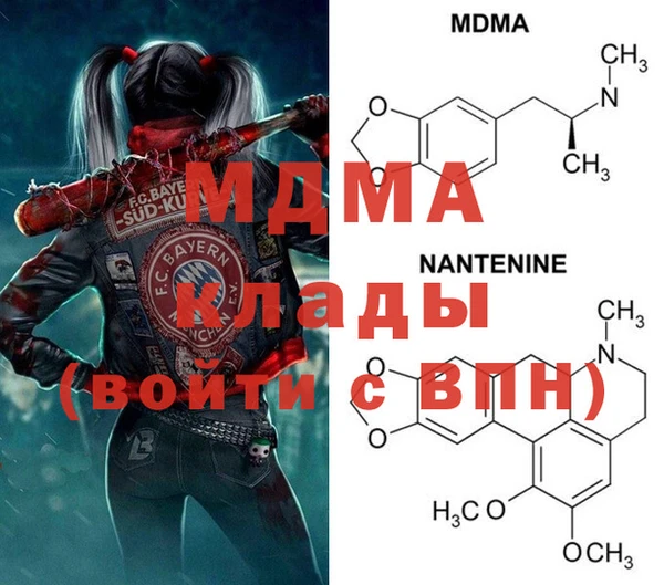 стафф Дмитриев