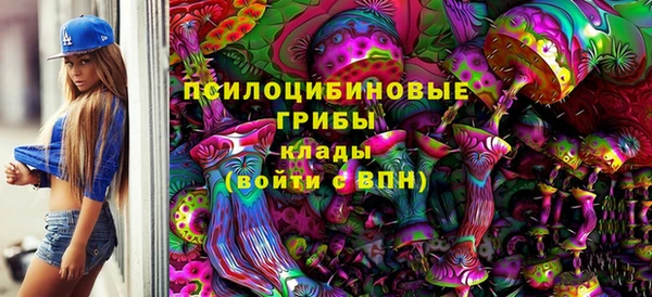 хмурый Дмитровск
