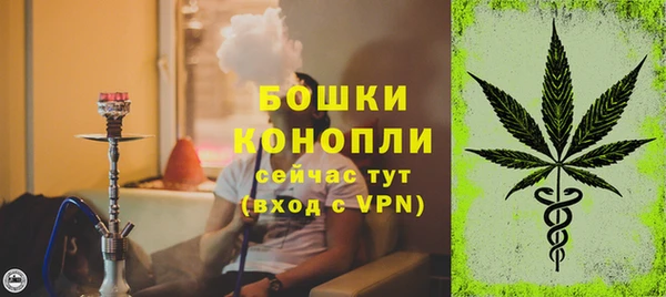 гидра Елабуга
