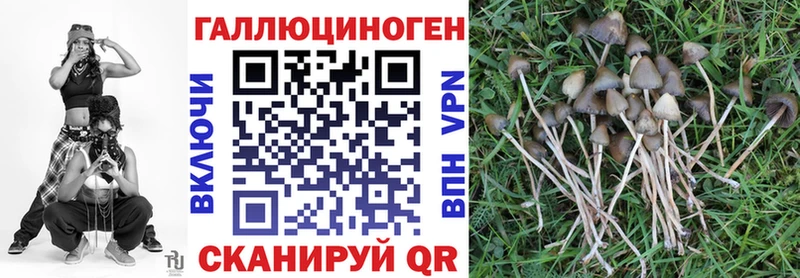 Псилоцибиновые грибы Magic Shrooms  мега онион  Кызыл 